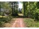 Gravel driveway leading to a wooded lot, showing privacy and natural beauty at 6675 Millwood Rd, Cumming, GA 30041
