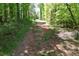 Photo of a gravel road leading through lush greenery and tall trees at 6675 Millwood Rd, Cumming, GA 30041
