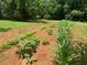 A flourishing garden with rows of healthy plants under a sunny sky at 6675 Millwood Rd, Cumming, GA 30041