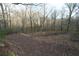 Picture of wooded homesite featuring mature trees and an open homesite area at 6675 Millwood Rd, Cumming, GA 30041