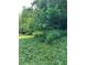 Recently mowed yard with various growth, leading to lush woods at 6675 Millwood Rd, Cumming, GA 30041