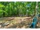 Large backyard showcasing mature trees, wooden pallets and possible renovation project at 14301 Veterans Memorial Highway, Villa Rica, GA 30180