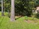 Manicured lawn and mature trees in the front yard of a brick home at 2315 Hudson Sw Dr, Lilburn, GA 30047