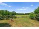 Picturesque backyard view featuring a sprawling field, lush greenery, and meticulously maintained landscaping at 1028 Southwood Dr, Villa Rica, GA 30180