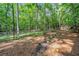 Wooded backyard and fence that provide privacy and natural beauty at 1313 Cobblestone Ln, Woodstock, GA 30189