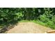 A well landscaped backyard has grass and abundant greenery at 2663 Washington Nw St, Atlanta, GA 30318
