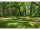 Expansive, lush green backyard surrounded by mature trees, creating a serene, private oasis at 159 S Forest S Ave, Social Circle, GA 30025