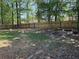 Large backyard featuring a new wooden fence at 1221 St James Pl, Loganville, GA 30052