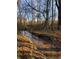 Picturesque creek meandering through a tranquil woodland, a haven for wildlife and nature enthusiasts at 1971 Centennial Rd, Rutledge, GA 30663