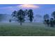 A picturesque view of a vast field with scattered trees under a misty sky at 1971 Centennial Rd, Rutledge, GA 30663