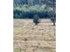 Scenic land showing deer grazing peacefully in a sunlit field bordered by lush green trees at 1971 Centennial Rd, Rutledge, GA 30663