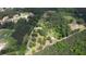 Overhead aerial view of the property featuring lush green trees, surrounded by nature and nearby homes at 78 N Pomona Rd, Hampton, GA 30228