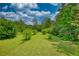 Expansive backyard featuring a lush green lawn and mature trees offering ample space for recreation at 78 N Pomona Rd, Hampton, GA 30228