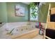 This bathroom features a large soaking tub, a houseplant, and a ladder for towel storage at 78 N Pomona Rd, Hampton, GA 30228