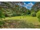Lush green land with mature trees under a blue sky, offering natural beauty at 78 N Pomona Rd, Hampton, GA 30228