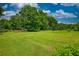 Expansive green field surrounded by mature trees under a bright, cloudy sky at 78 N Pomona Rd, Hampton, GA 30228