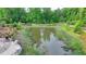 Scenic pond surrounded by lush greenery, with a fountain and natural beauty, an inviting landscape at 221 Thompson St, Alpharetta, GA 30009