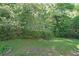 A view of the backyard featuring an abundance of trees and grass at 359 Dallas St, Hiram, GA 30141