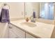Bathroom featuring a countertop, sink, and a mirror above the sink at 2929 Rambler Dr, Loganville, GA 30052