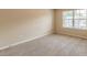 Bedroom featuring neutral carpet, window, and natural light at 171 Osier Dr, Mcdonough, GA 30252
