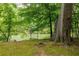 Backyard featuring mature trees, a tree swing and a peek of the water at 314 Caruso Ct, Sandy Springs, GA 30350