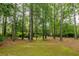 Secluded backyard featuring mature trees and lush greenery at 314 Caruso Ct, Sandy Springs, GA 30350