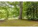 Backyard featuring mature trees and a peek of the water at 314 Caruso Ct, Sandy Springs, GA 30350