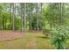 Secluded backyard featuring mature trees and lush greenery at 314 Caruso Ct, Sandy Springs, GA 30350