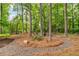 Backyard lounge area nestled among trees and featuring an inviting outdoor seating arrangement at 4020 Devereux Chase, Roswell, GA 30075