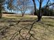 View of the front yard and trees with some of the house visible in the background at 5317 Kings Hwy, Douglasville, GA 30135