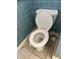 A standard toilet is pictured in a bathroom with tiled walls and flooring, next to a cleaning brush at 5317 Kings Hwy, Douglasville, GA 30135