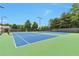 Well-maintained tennis courts with green and blue surfaces and professional lighting, perfect for sports enthusiasts at 5613 Lancashire Ln, Cumming, GA 30041