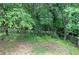 Lush, secluded backyard with a wooden fence and dense greenery, offering a private and serene outdoor space at 4975 Rockstone Way, Acworth, GA 30101