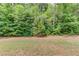 Private backyard area surrounded by dense trees and greenery at 4241 Summer Breeze Way, Buford, GA 30518