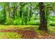 Spacious backyard with lush greenery and mature trees, ideal for outdoor activities and privacy at 1913 Flintwood Se Dr, Atlanta, GA 30316