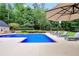 Backyard pool area featuring a large patio, lounge chairs, and landscaping at 704 Branchview Ct, Mcdonough, GA 30252