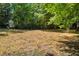 Spacious backyard featuring a large expanse of land surrounded by lush trees, offering privacy and natural beauty at 187 Gilberts Way, Temple, GA 30179