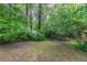 Backyard area features grassy space and tree coverage providing shade at 2045 Scarbrough Dr, Stone Mountain, GA 30088