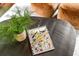 Stylishly decorated coffee table with a plant, design book, and decorative star object, adding character to the living space at 3580 Raymond Dr, Atlanta, GA 30340