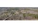 Scenic aerial shot showing the property's location with treed area at 176 Old Burnt Hickory Rd, Douglasville, GA 30134