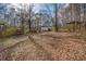 Wide angle of a backyard surrounded by trees and featuring multiple storage structures and wooded scenery at 176 Old Burnt Hickory Rd, Douglasville, GA 30134