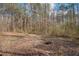 Backyard featuring a fire pit and surrounded by trees, offering a private outdoor experience at 176 Old Burnt Hickory Rd, Douglasville, GA 30134