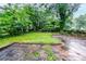 View of a lush, green backyard with a concrete parking pad and lots of greenery at 1615 Stokes Sw Ave, Atlanta, GA 30310