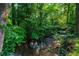 Backyard creek with lush foliage, creating a serene and private natural setting at 270 Park Bridge Ln, Roswell, GA 30075