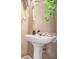 Bathroom sink with a pedestal and a mirror featuring hanging planters for added decor and style at 6076 Chupp Way Ln, Lithonia, GA 30038