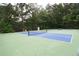Well-maintained community tennis courts surrounded by lush greenery and shade trees at 942 Village View Cir, Loganville, GA 30052