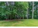 Large backyard featuring a spacious lawn and mature trees creating a serene, natural setting at 803 Cedar Lake Se Dr, Conyers, GA 30094