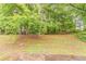 Expansive backyard with mature trees, providing privacy and a natural setting at 4248 Wellington Hills Ln, Snellville, GA 30039