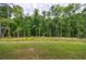 Lush green backyard with mature trees providing privacy, perfect for outdoor activities at 130 Lapis Lake Pt, Fayetteville, GA 30215