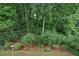 Lush backyard featuring an array of trees, plants and greenery at 2018 Township Dr, Woodstock, GA 30189